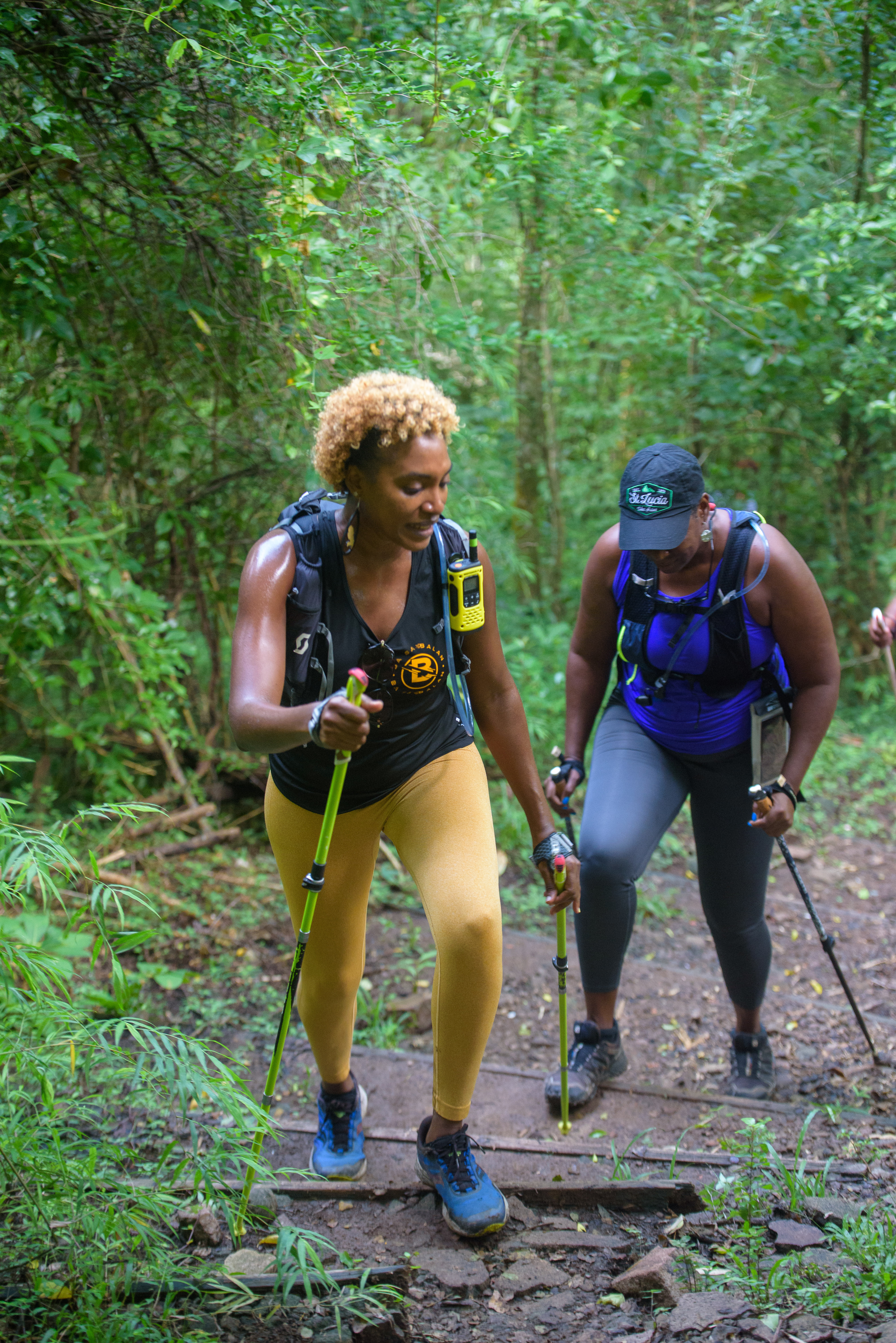 randonnée avec des batons dans une forêt de Martinique
