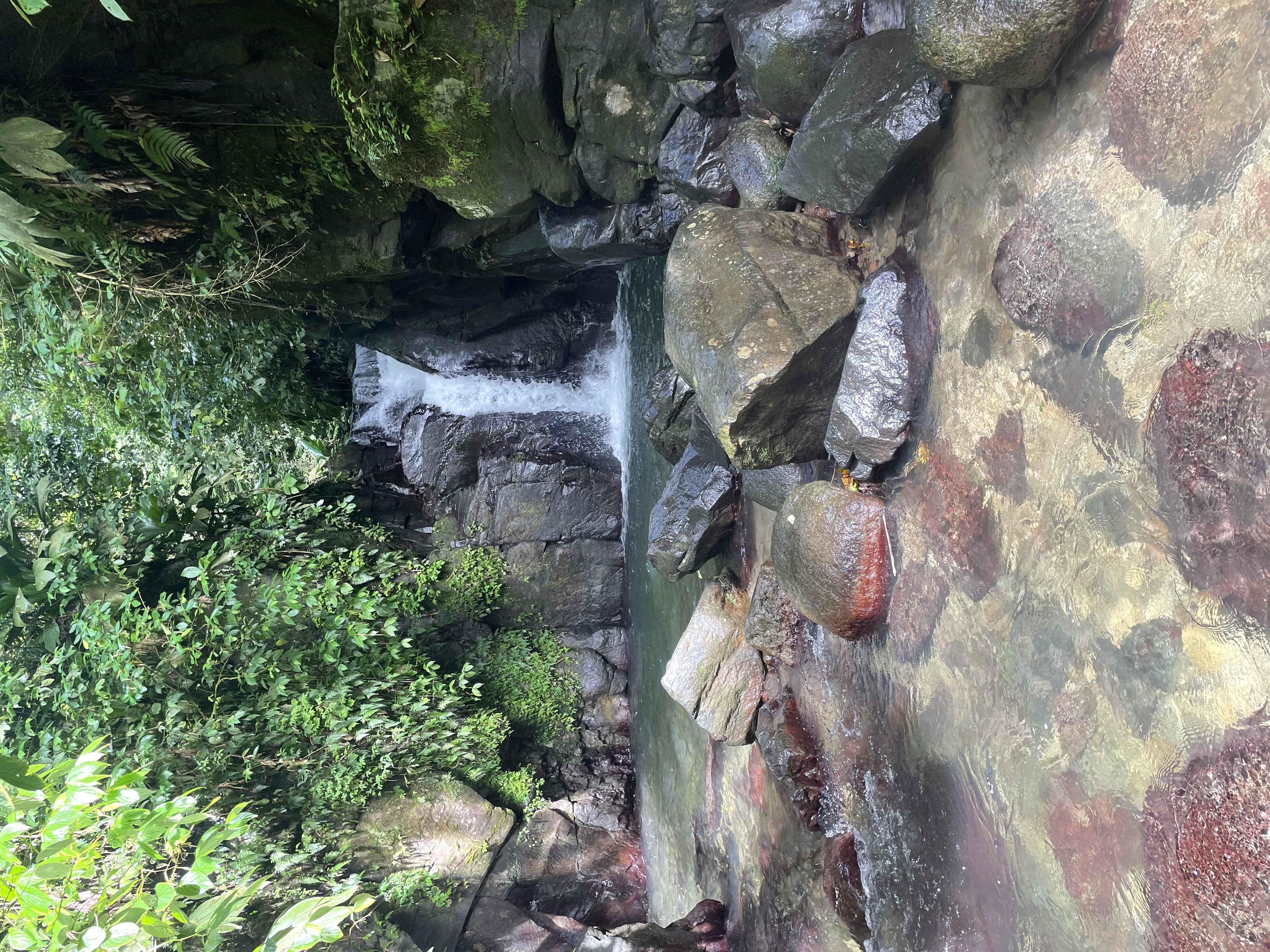 randonnée à absalon, rivière en Martinique